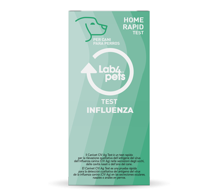 Test para detectar la gripe canina